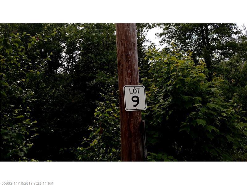 L9 Birch Point Rd - Photo 1