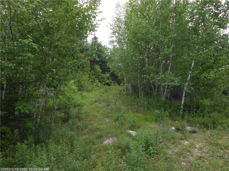 Lot 6 Otter Cove - Photo 1