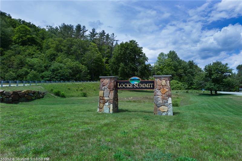 Lot 28 Locke Summit Road - Photo 1