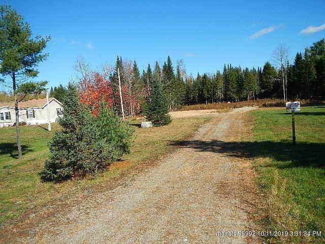 Lot 11 Transalpine Road - Photo 1