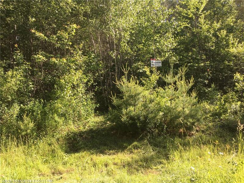 13 Mclellan Way - Photo 1