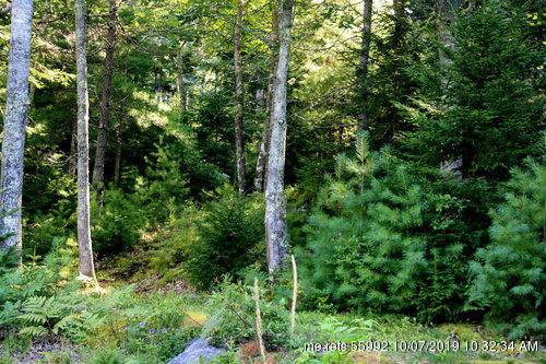 Lot 22-6 Schoolhouse Lane - Photo 1