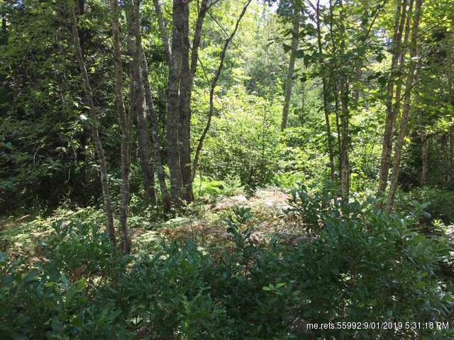 0 Neal Lane - Photo 1