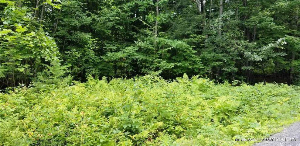 3-5 Nutting Trail - Photo 1