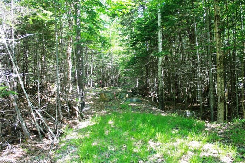 TBD Ridge Parkway - Photo 1