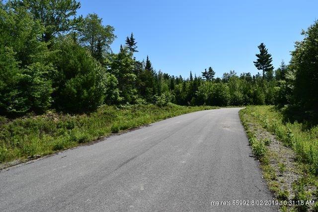 Lot 11 Surry Ridge Subdivision Road - Photo 1