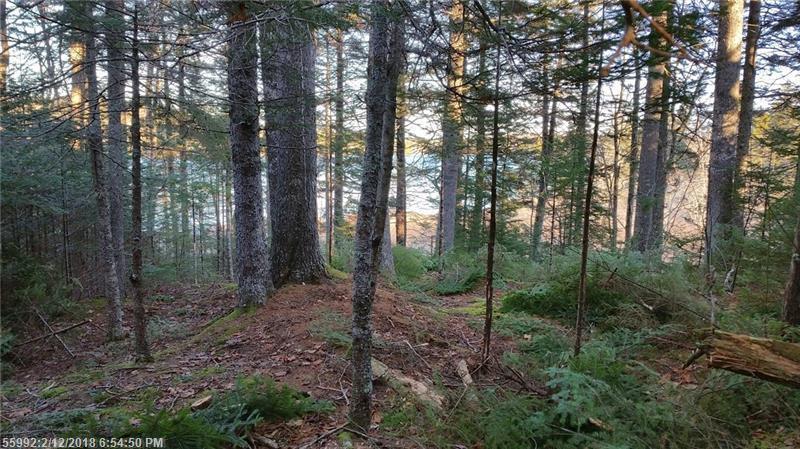Lot 9B Sunrise Way - Photo 1