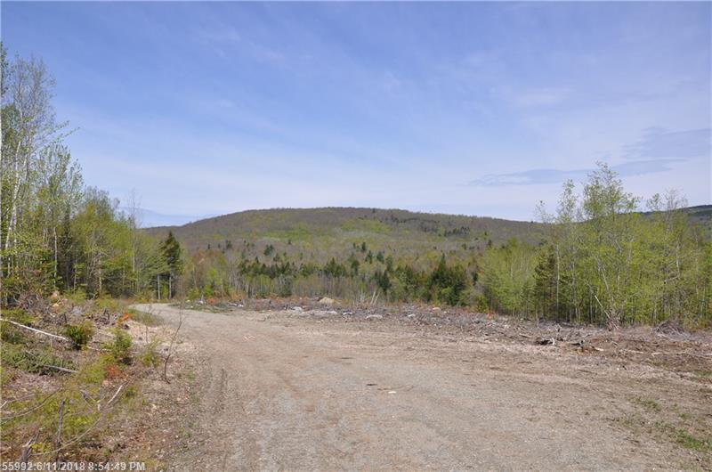 Map 99 Lot 19-7 Happytown Rd - Photo 1