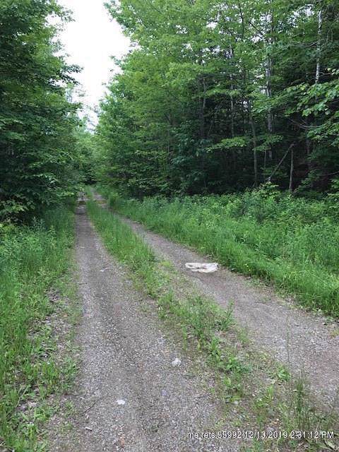 Lot 16 Mt. Pleasant Road - Photo 1