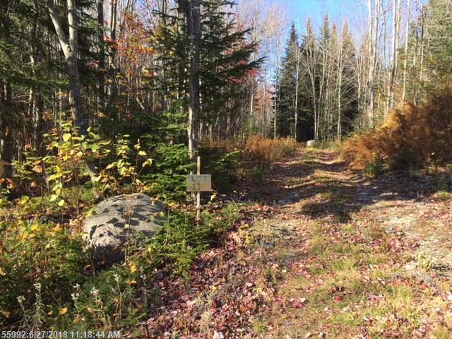 Lot 11 West Pine Road - Photo 1