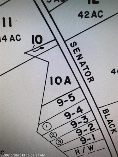 Lot 10-A N Senator Black Rd - Photo 1