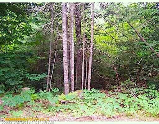 00 East Old County Road - Photo 1