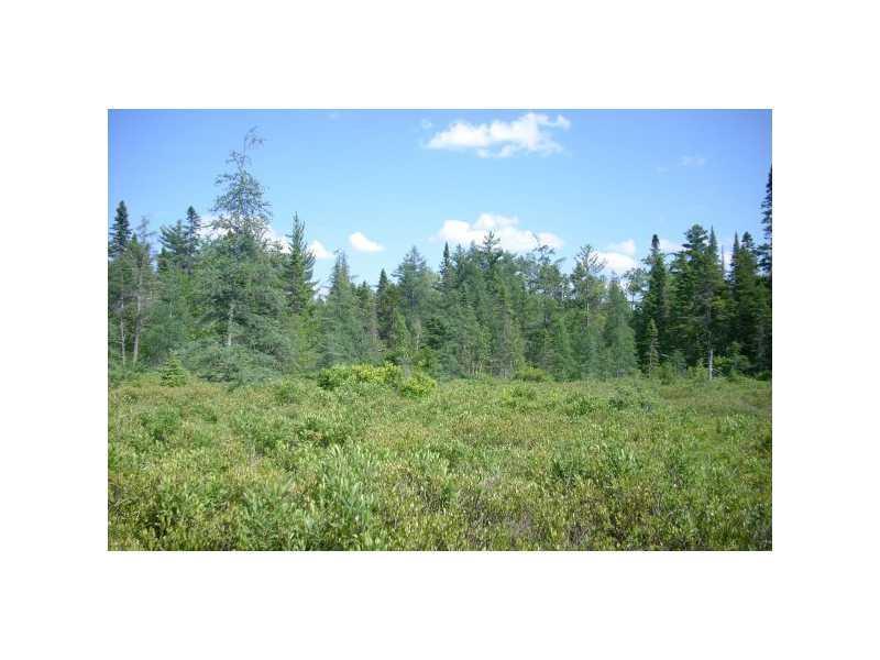 450 Smith Road - Photo 1