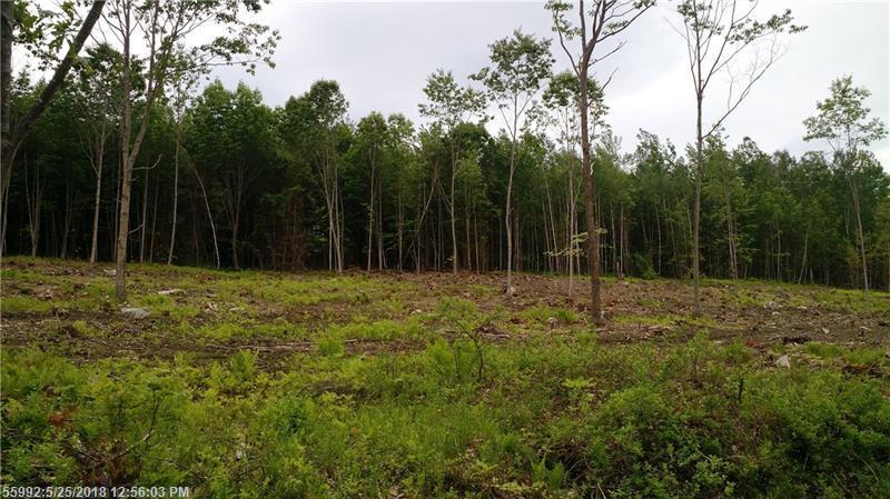 Lot#9 Haynes Heights Rd - Photo 1