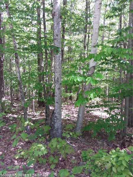 0 Valley Road - Photo 1