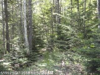Lot 3 Sandy Ln - Photo 1