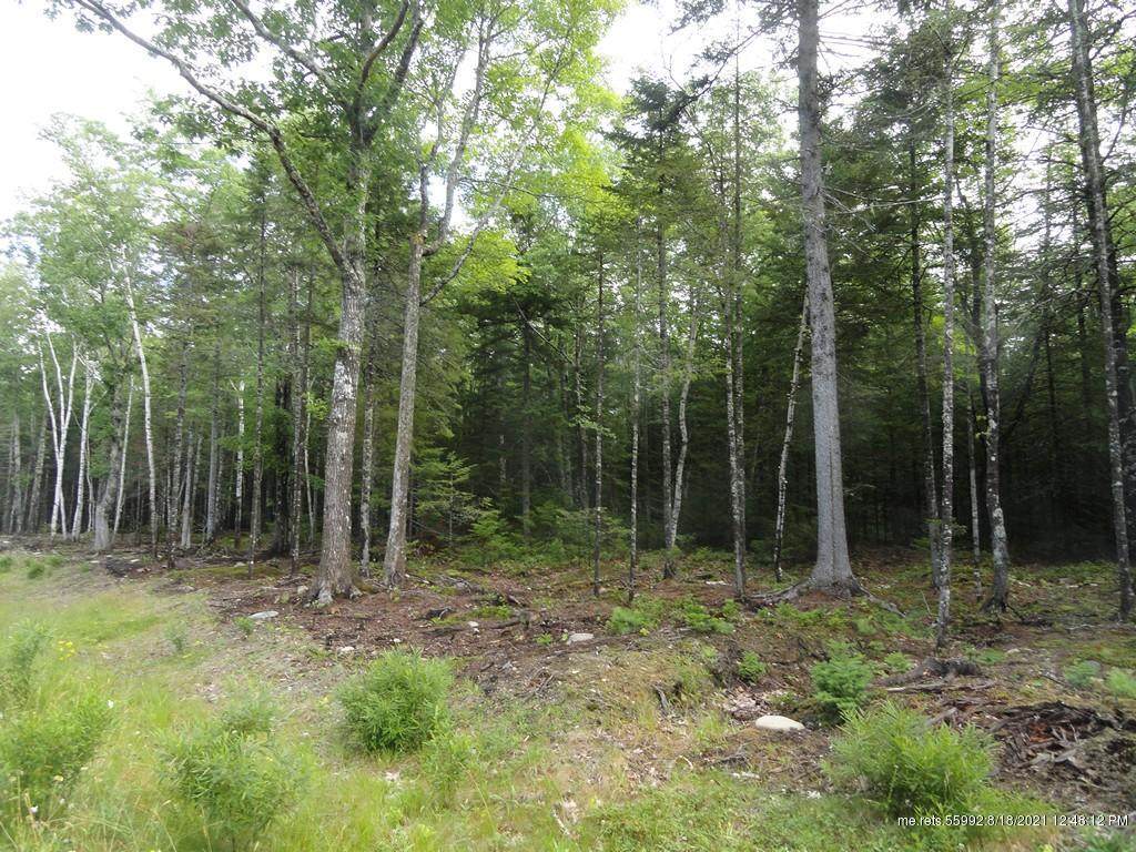 Lot 6 Bluff Road - Photo 1