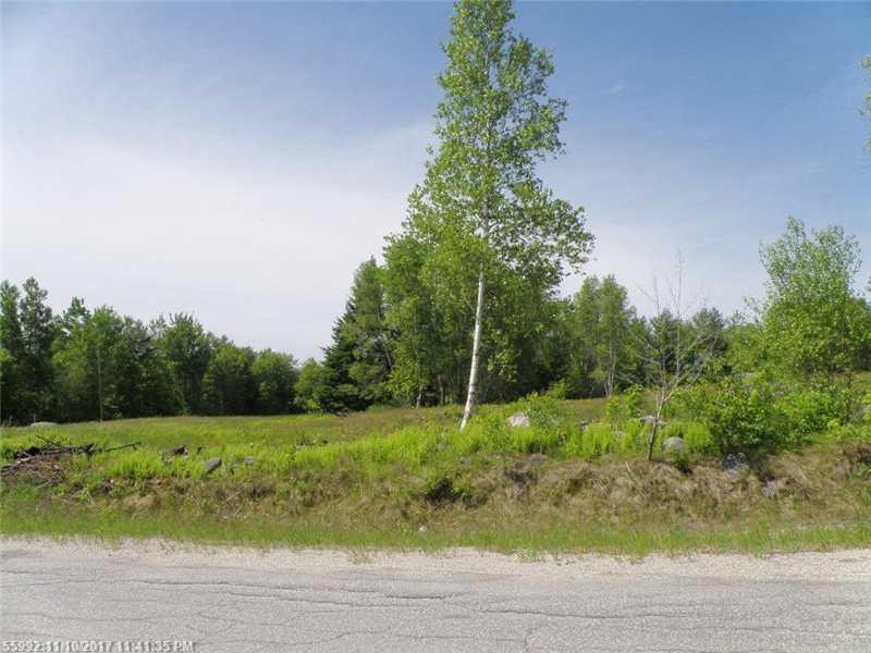 Lot 1 Pioneer Path - Photo 1