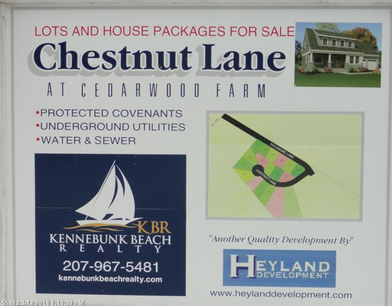 Lot 10 Chestnut Ln - Photo 1