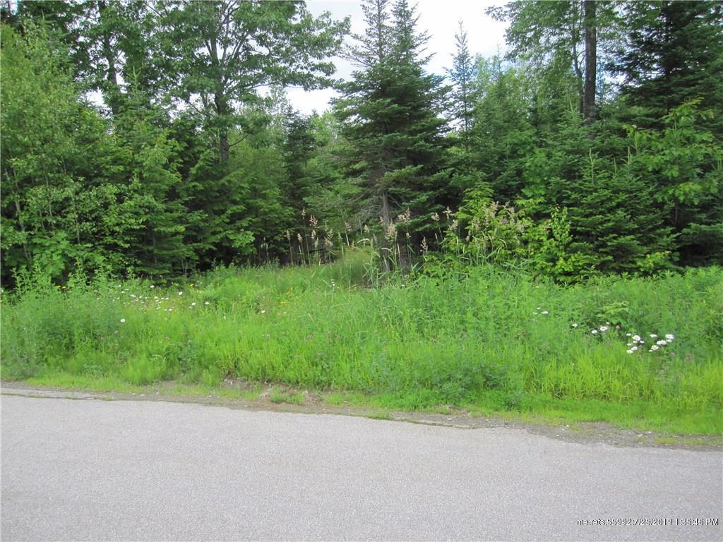 Lots # 101 Kellen Drive - Photo 1