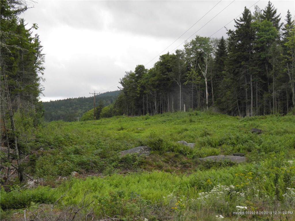 000 Edelheid Road - Photo 1