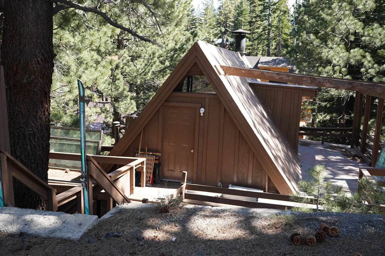 817 Forest Trail - Photo 1