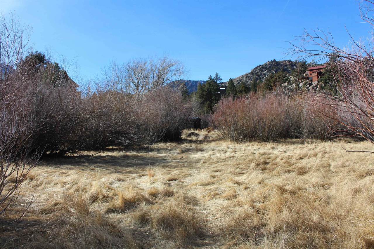 51 Raymond Lane - Photo 1