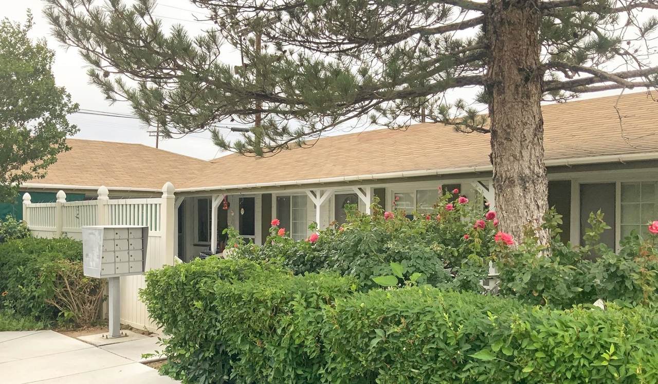 262 Grove Street - Photo 1