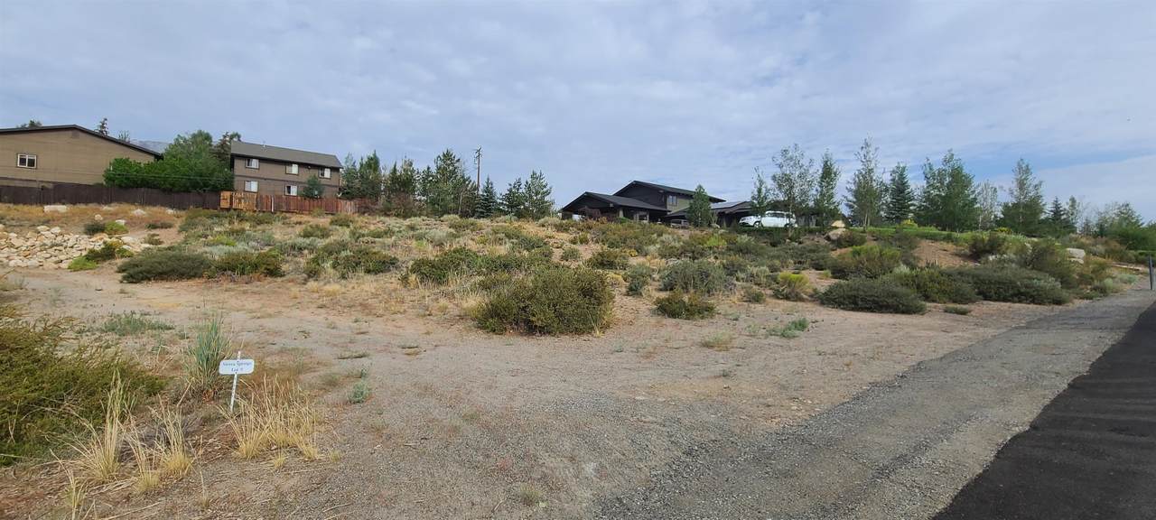 Lot 5 Sierra Springs - Photo 1
