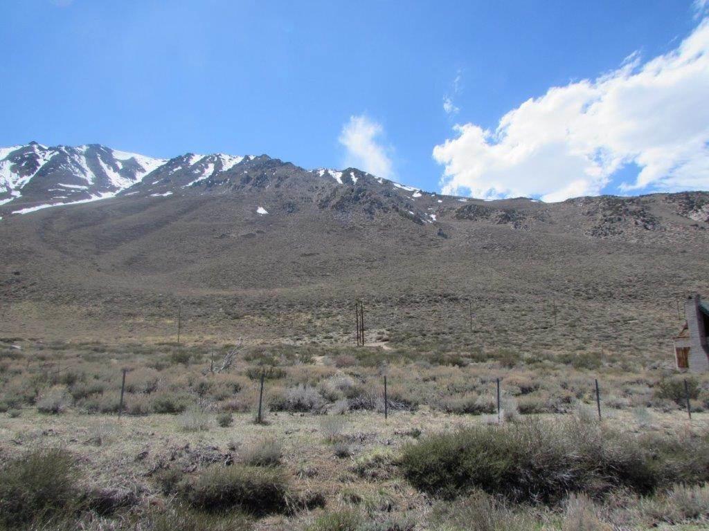 677 Crowley Lake Dr. Parcel #2 - Photo 1