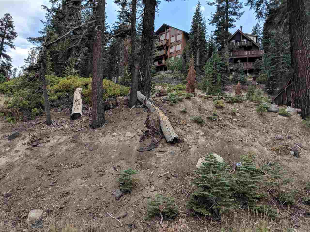 317 John Muir - Photo 1
