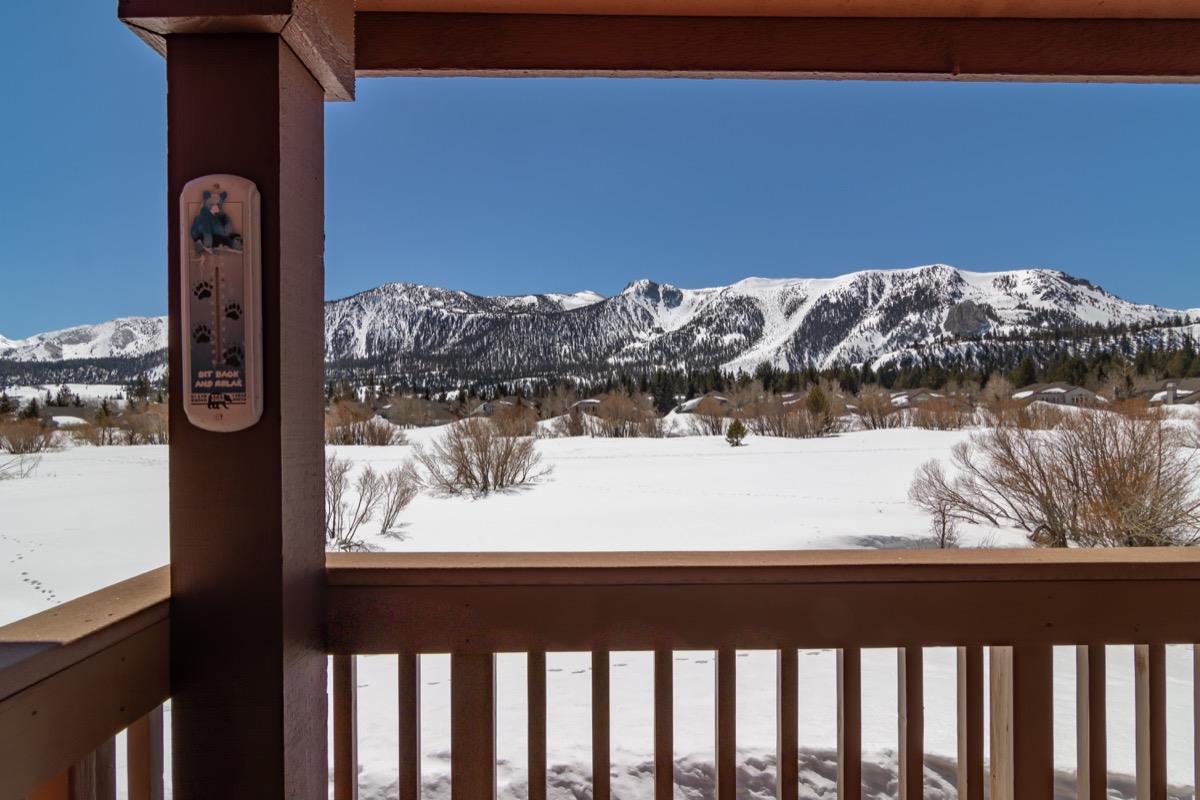 422 White Bark - Photo 1