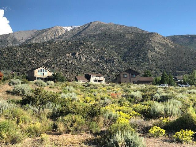 29 Sierra Springs - Photo 1