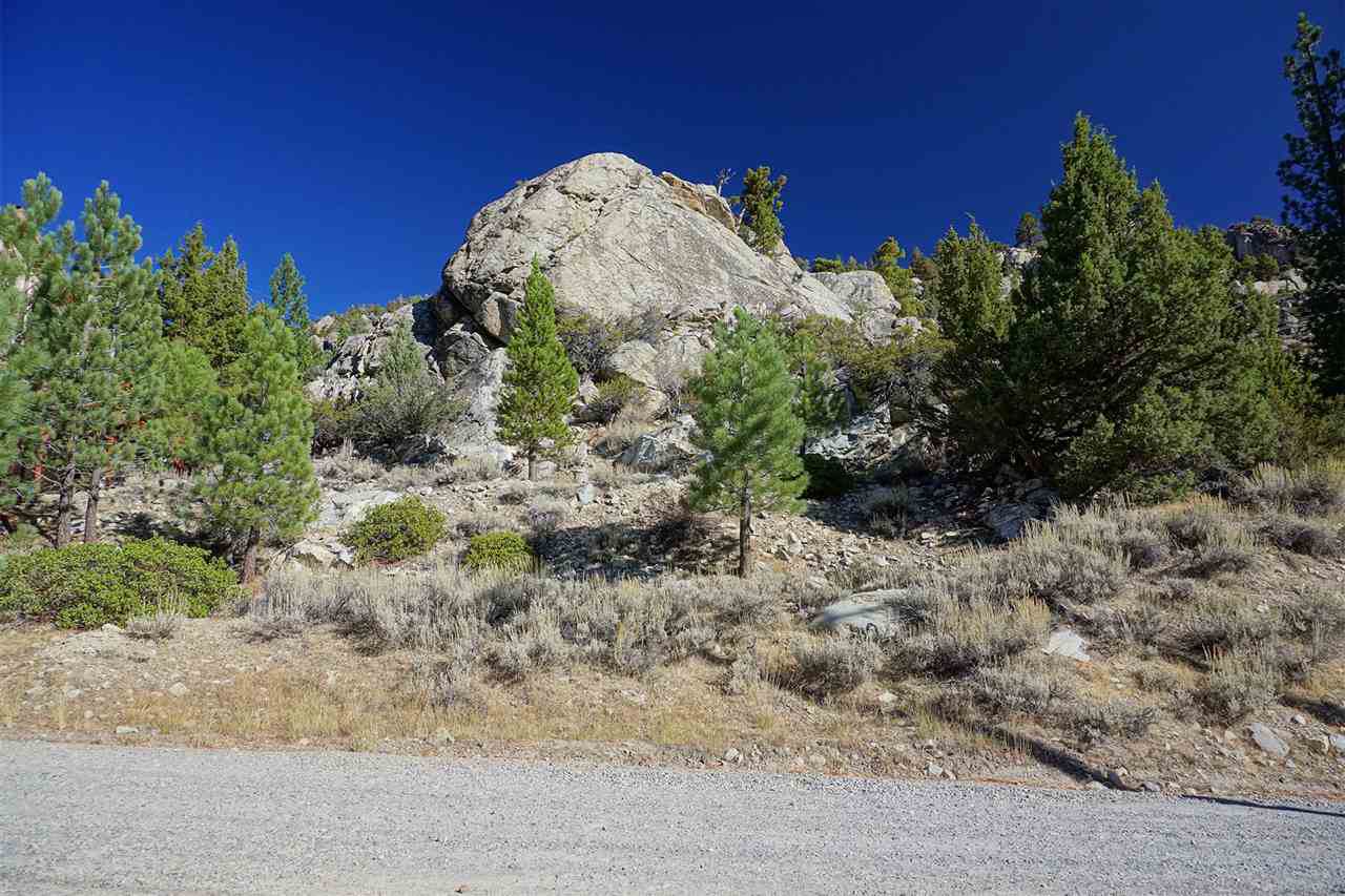 Lot 15 Steelhead - Photo 1