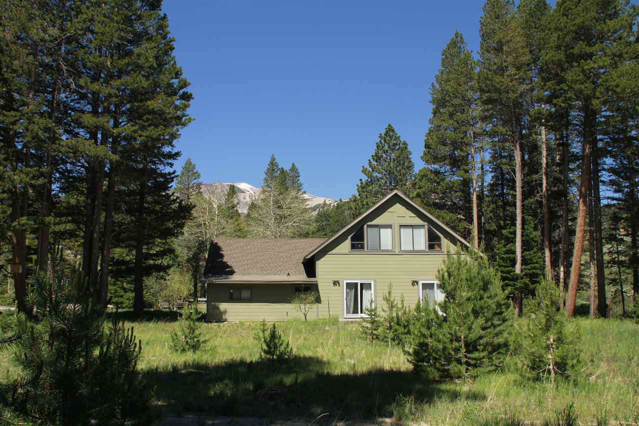 49 Meadow Court - Photo 1