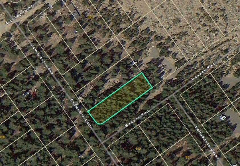 Lot 1 Tamarack Lane - Photo 1