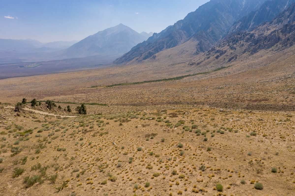 Lot 7 Sierra Wave - Photo 1