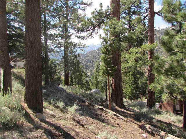 638 Piute Drive - Photo 1