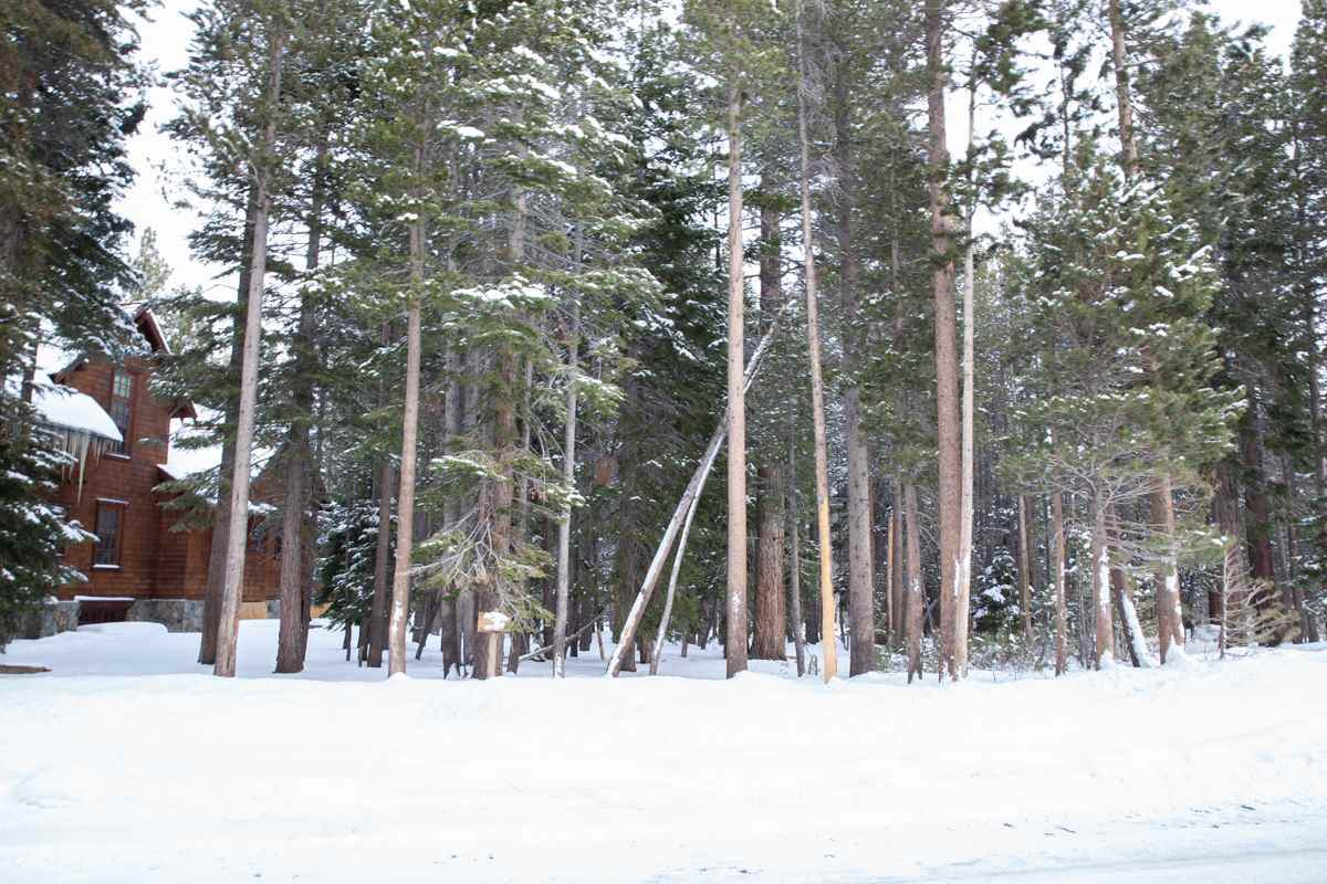 225 Starwood Drive - Photo 1