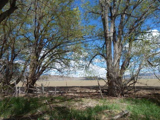 0 Palmer Way - Photo 1