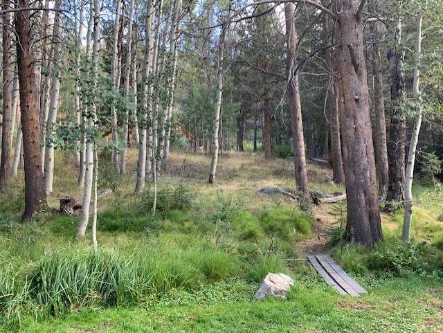 00 Aspen Roads - Photo 1