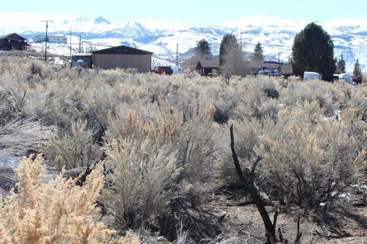 Lot 53 Highway 395 & Mt. Patterson - Photo 1