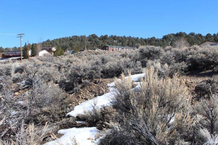 Lot 52 Mt. Patterson Drive - Photo 1
