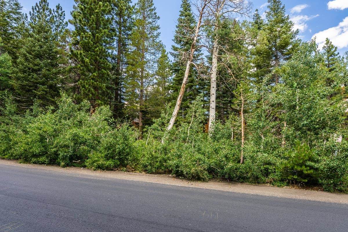 92 Red Fir - Photo 1