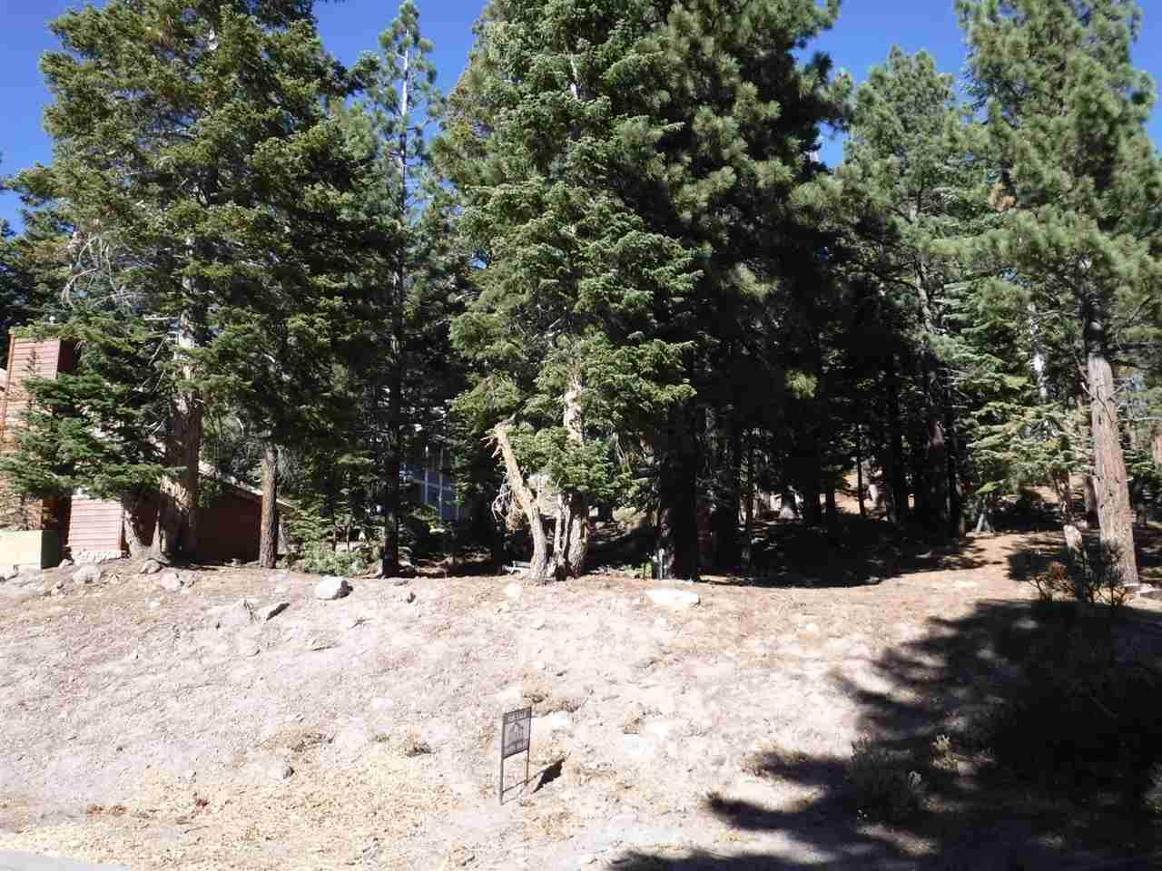 1585 Majestic Pines Drive - Photo 1