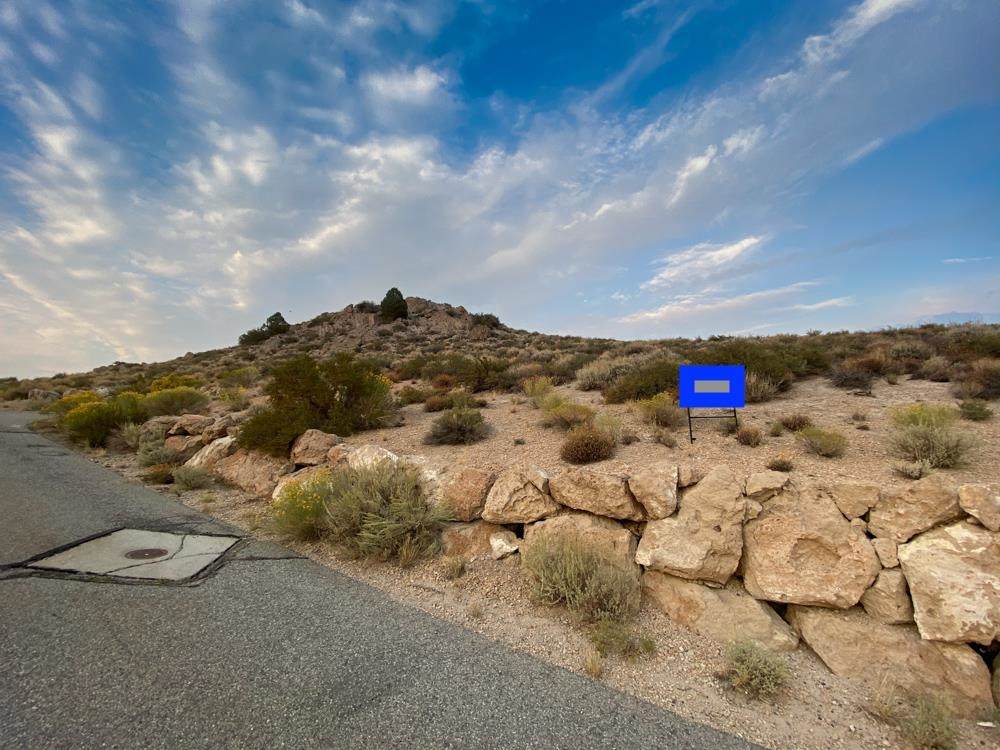 184 Red Bluff Trail - Photo 1