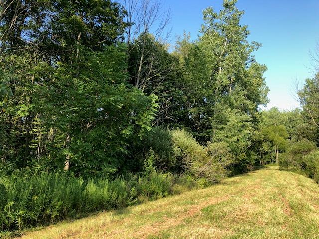 7326 State Route 19 Unit 2, Lots 256 & 257 - Photo 1