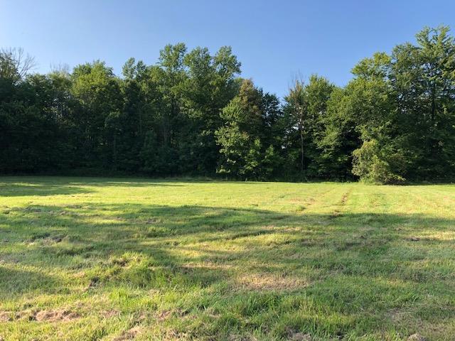 7326 State Route 19 Unit 2, Lots 267, 268, 269 - Photo 1