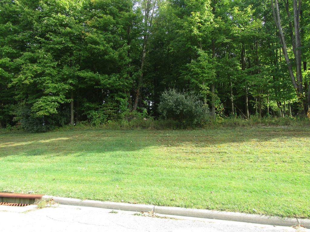 0 Charles Ct Lot 1866 - Photo 1