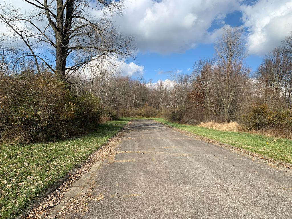 0 Hazel Drive - Photo 1